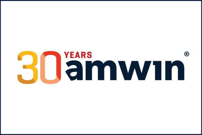 30_lat amwin na stronę www ENG